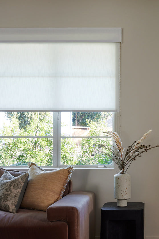Privacy Roller Shade