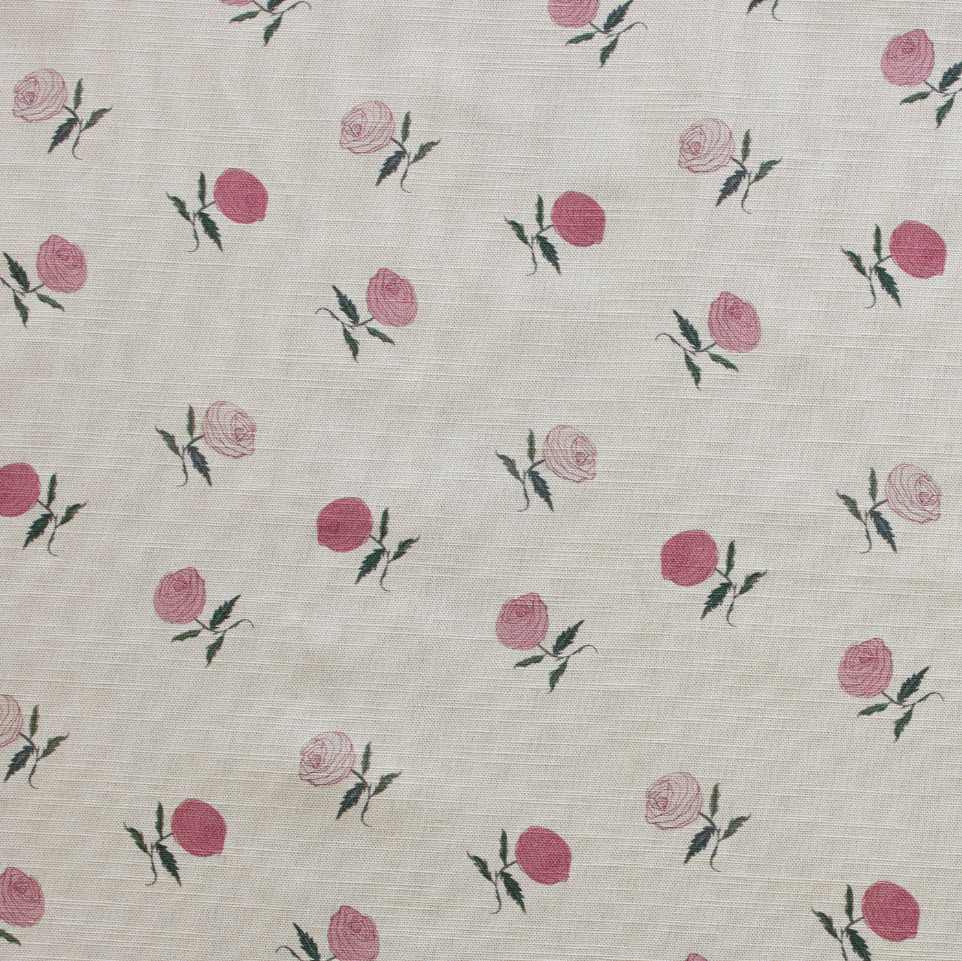 Dainty Rose