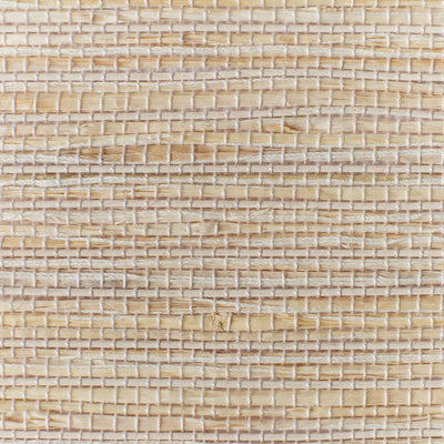Seashell swatch