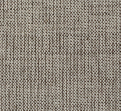 Birch swatch