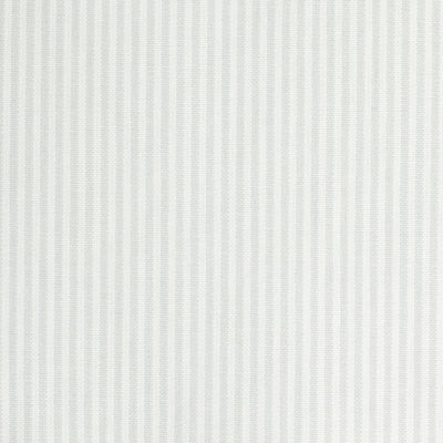 Oyster swatch