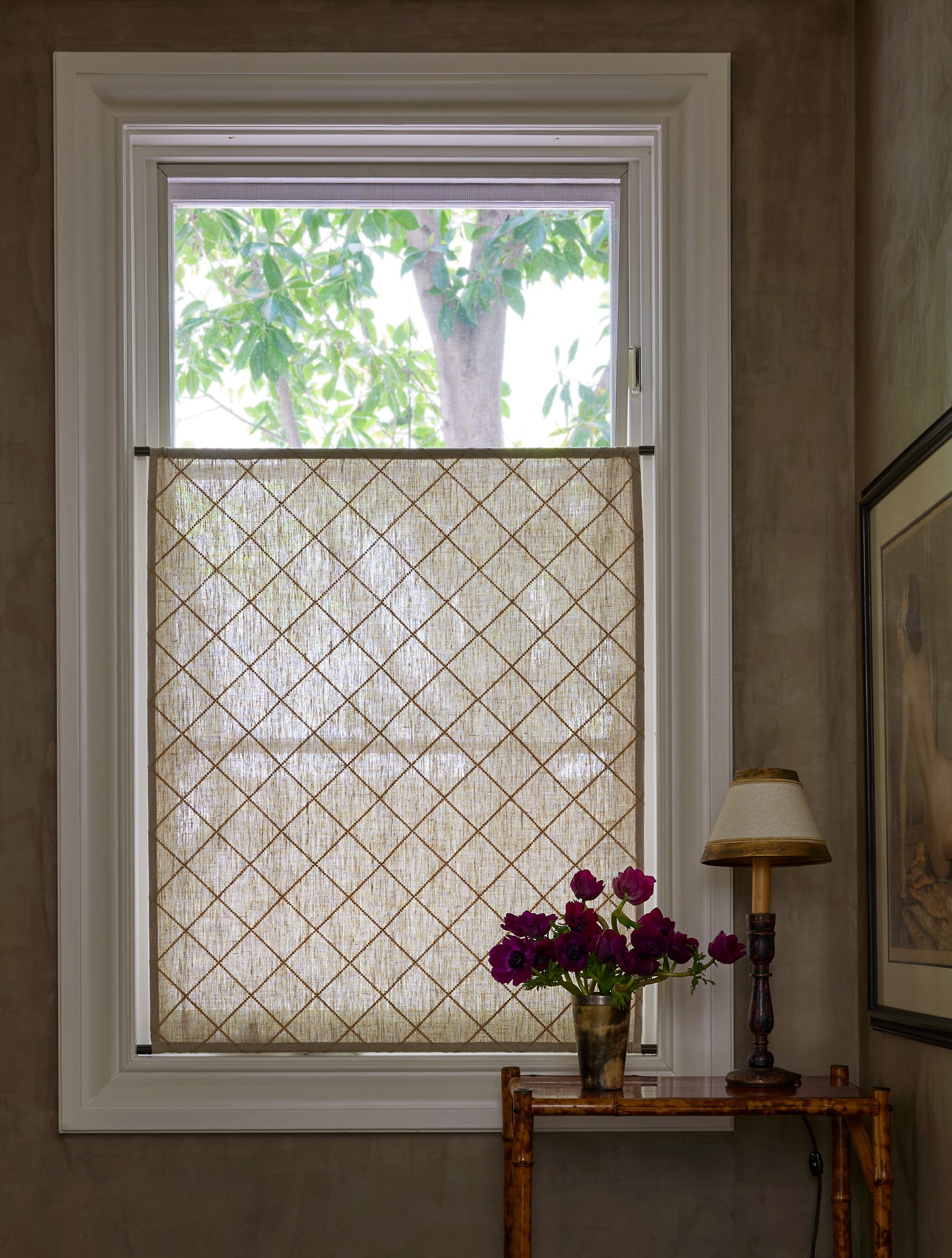 Fixed Curtains
