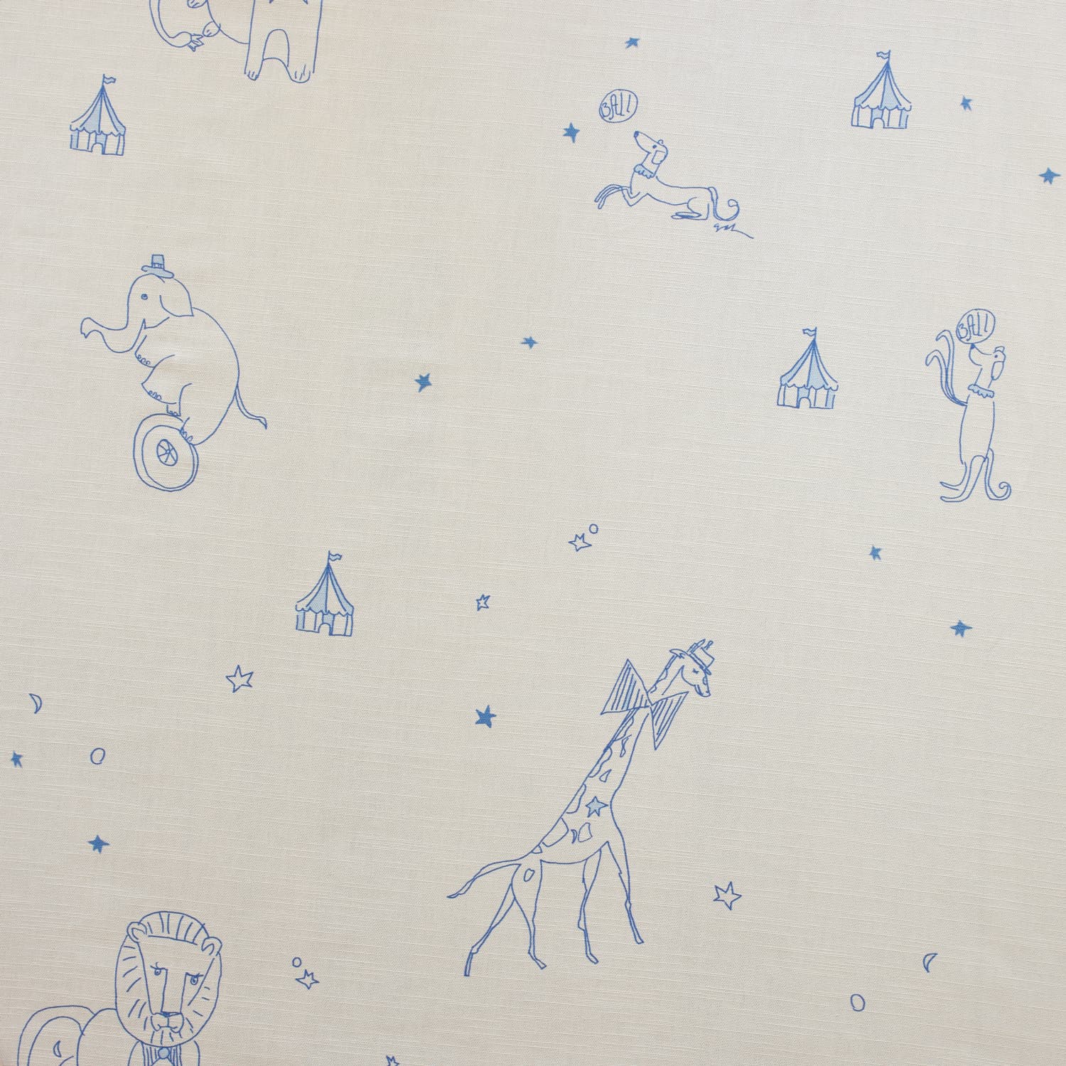 Circus Circus — Carly Kuhn Collection